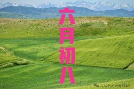 阴历八月初八是结婚吉日(九月初八结婚吉日查询)