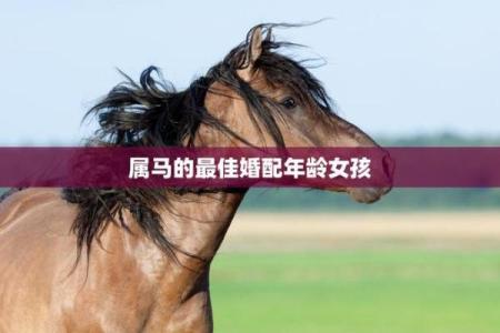 2002年属马女最佳结婚年龄