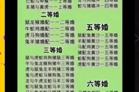 99年属兔女的最佳结婚年龄,1999年属兔婚配男人