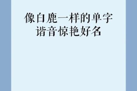 2月份出生的属蛇男孩适合取什么名字姓名
